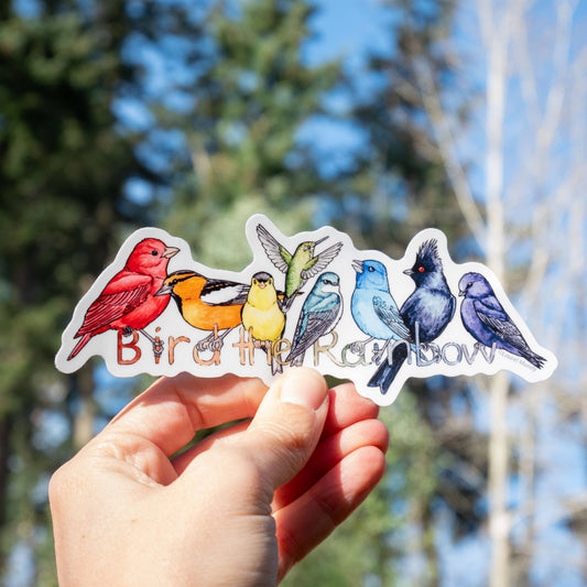 Bird the Rainbow Large Vinyl Sticker