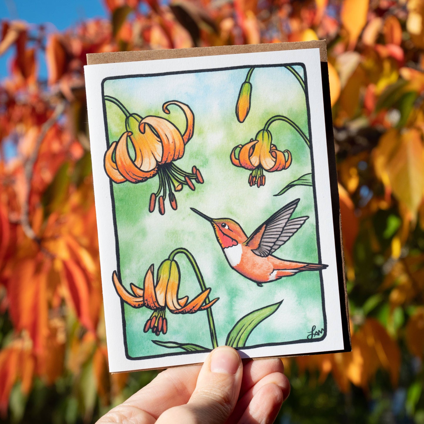 Rufous Hummingbird Greeting Card