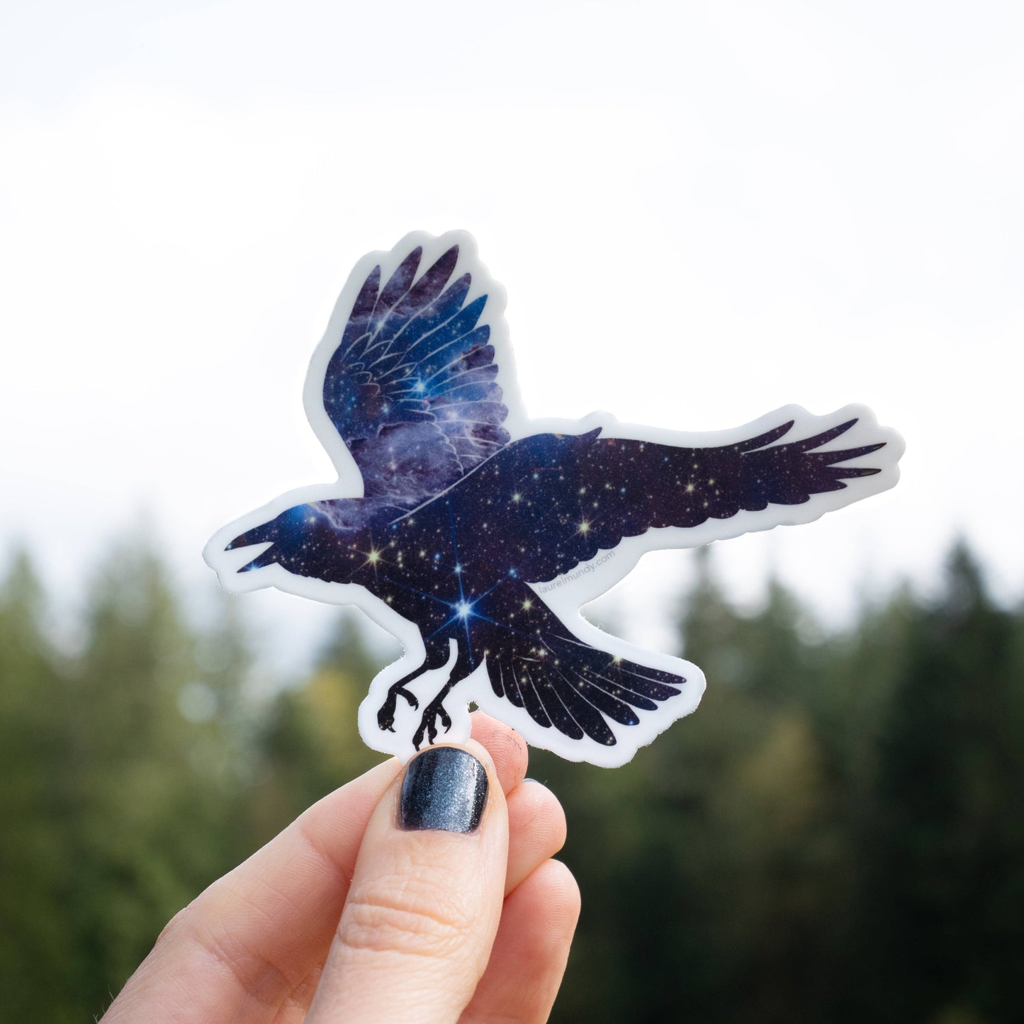 Space Raven Vinyl Sticker