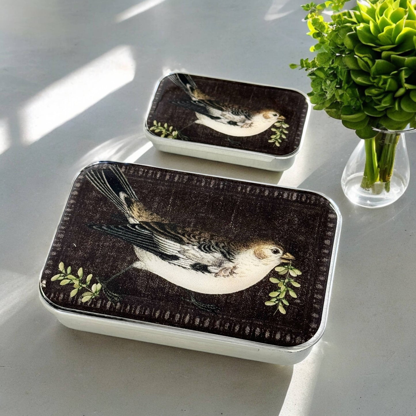 Birdsong Notions Tin: Small