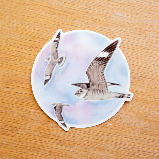 Nighthawks in Flight Vinyl Sticker