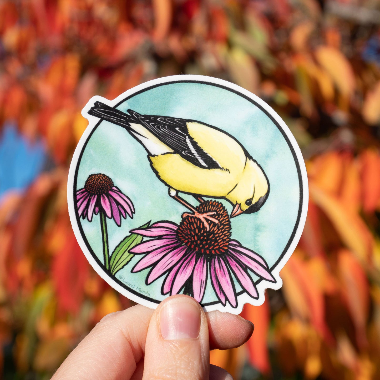 Goldfinch on Coneflower Vinyl Decal Sticker