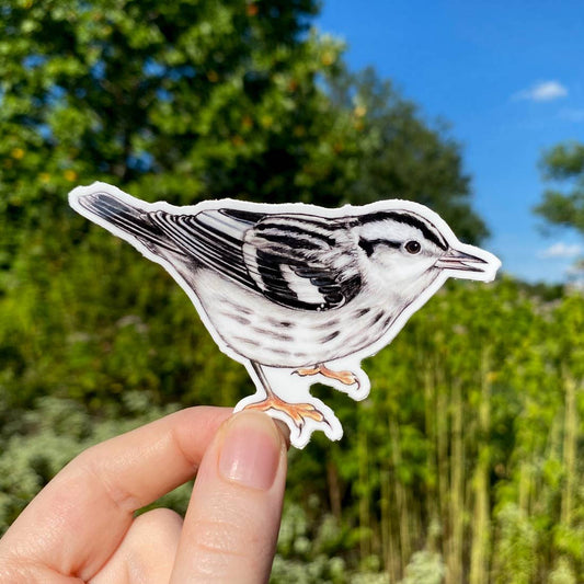 Black and White Warbler Bird Weatherproof Vinyl Sticker