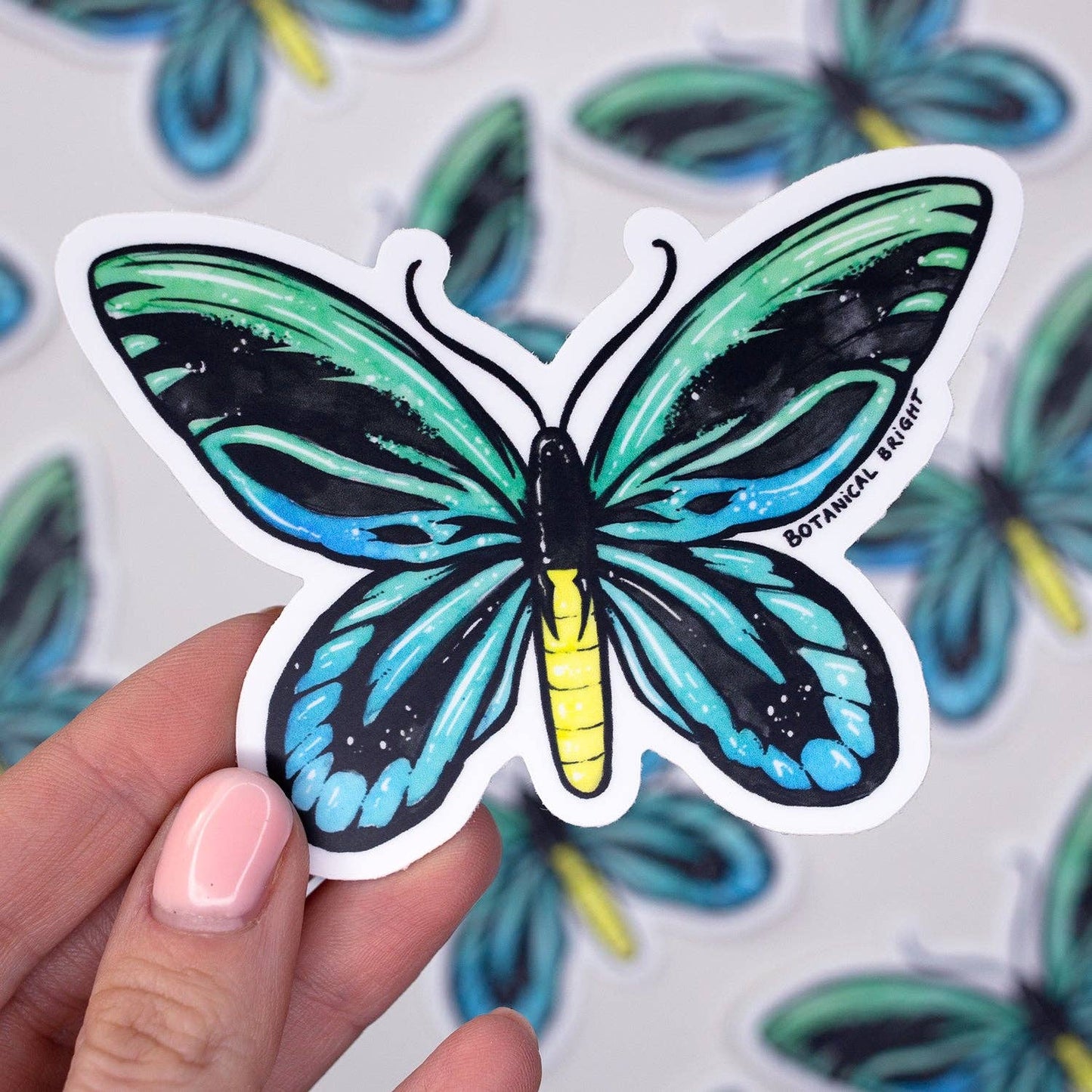 Queen Alexandra's Birdwing Butterfly Vinyl Sticker Decal