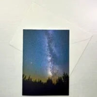 Evergreen Eternal notecard, vertical
