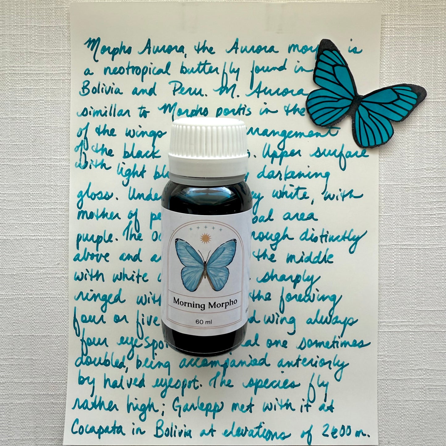 Morpho Collection - fountain pen ink, multiple colors