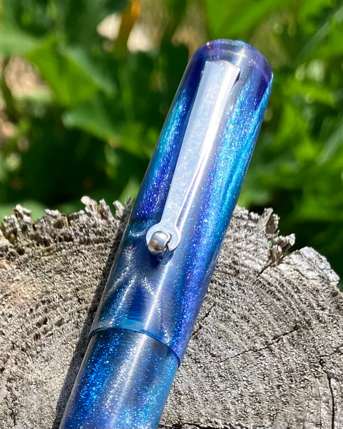 Aurora Morpho