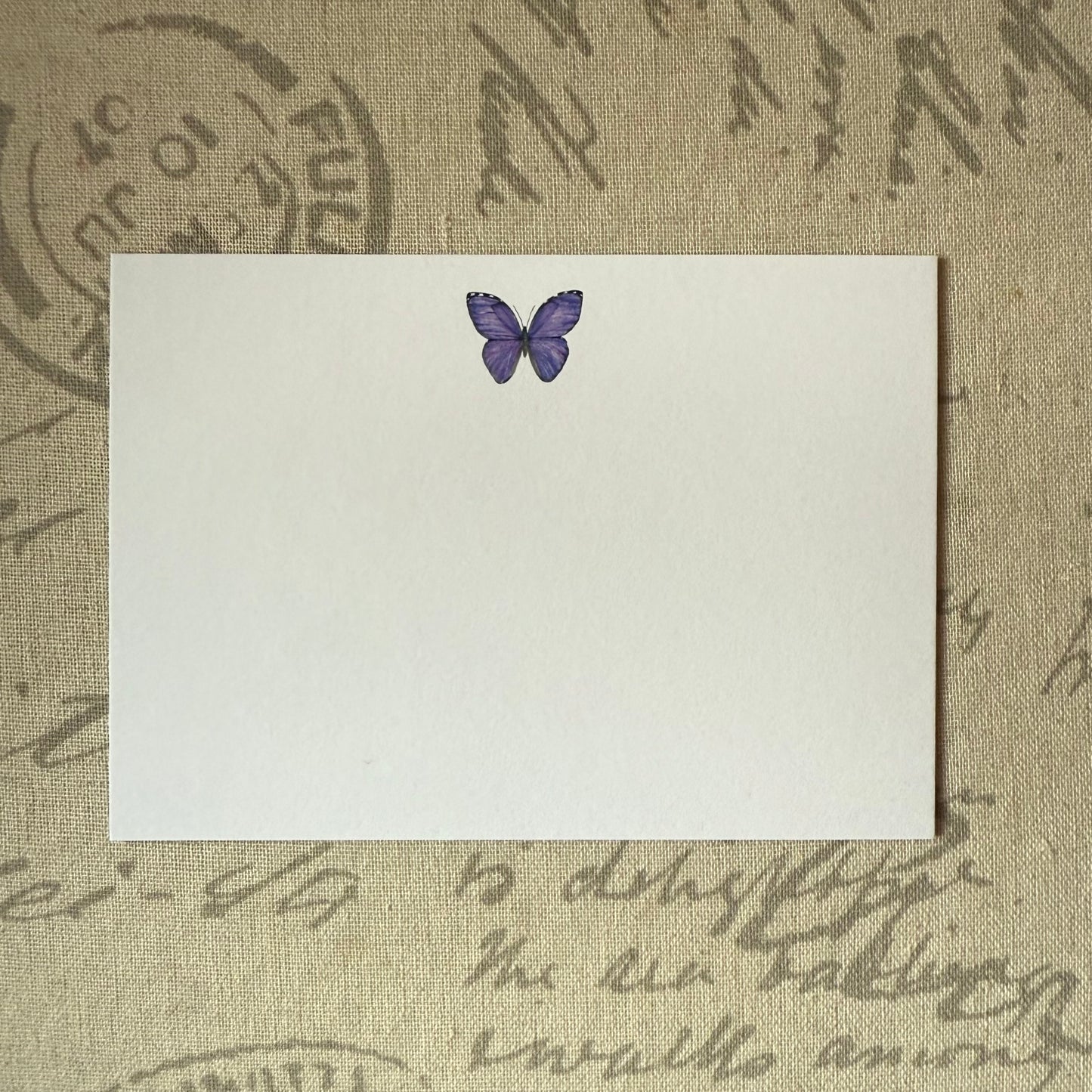Morpho flat notecard