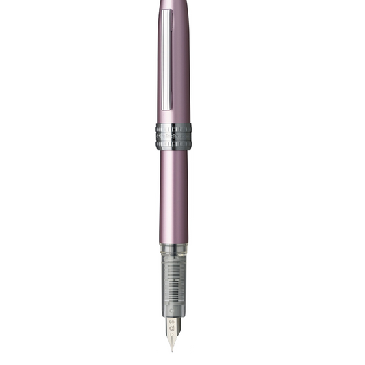 Platinum Plaisir Fountain Pen