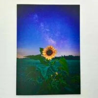Choose your own six pack of Stationery Universe notecards