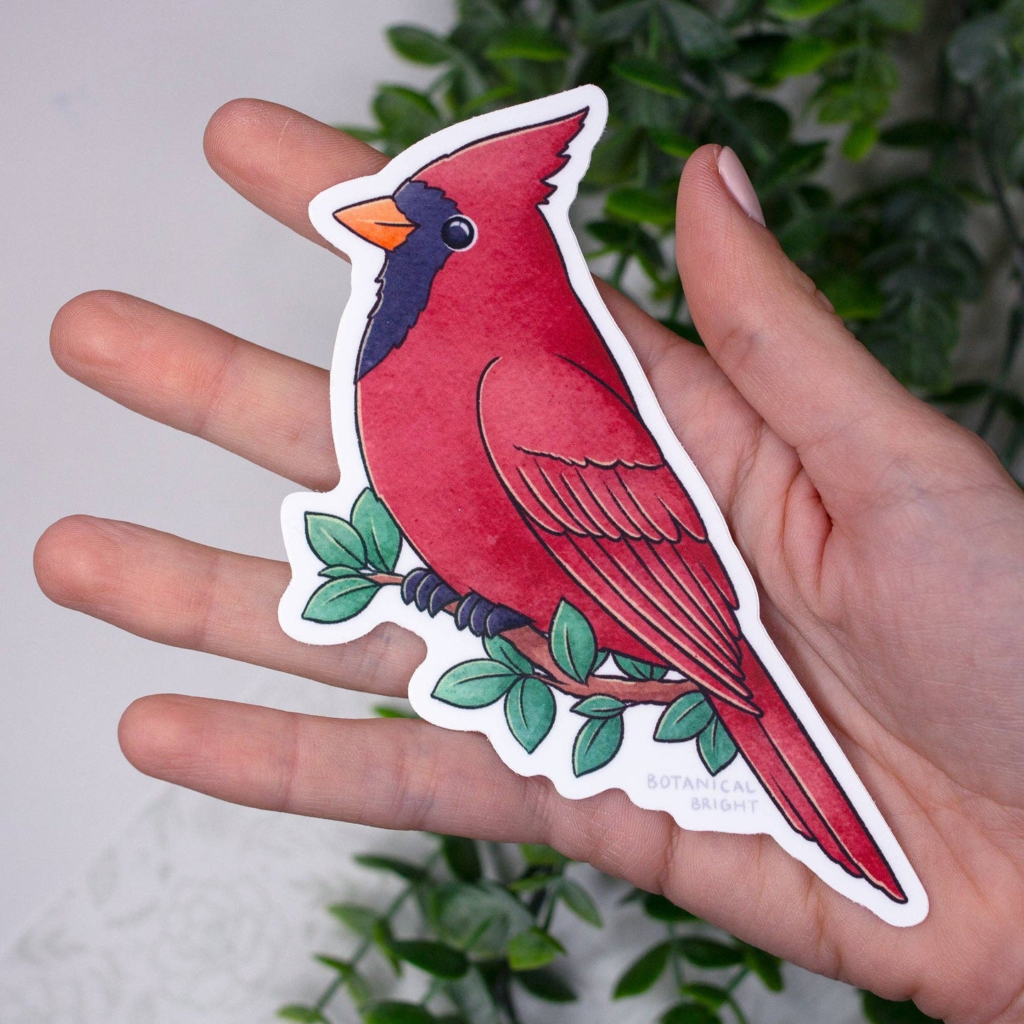 Cardinal Vinyl Sticker Decal