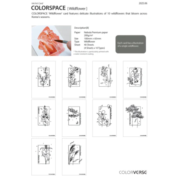 Colorspace Ink Art Card Wildflower, Colorverse (Size B)