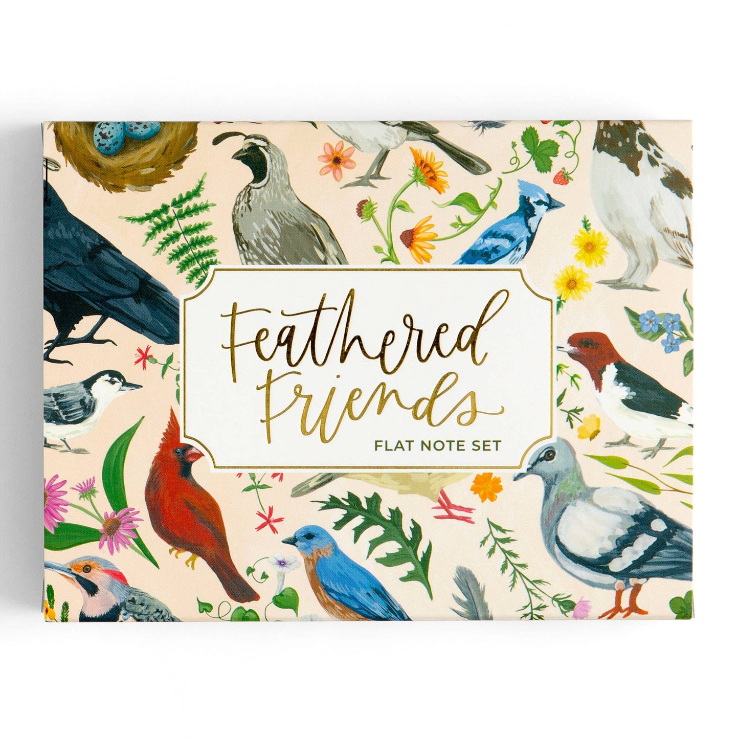 Feathered Friends Birds Flat Note Set 1