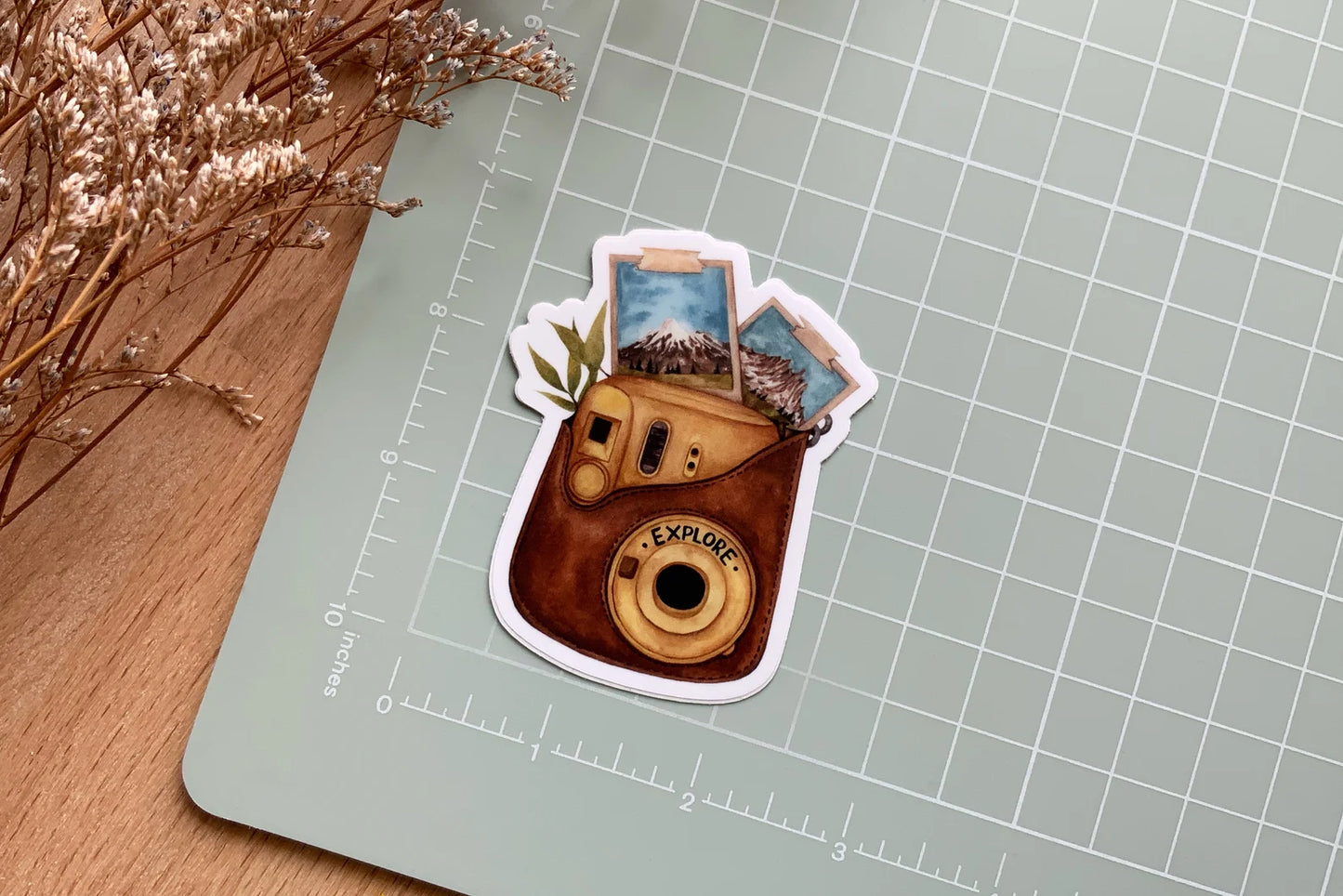 Explore Nature: Retro Camera Vinyl Decal
