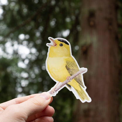Wilson's Warbler Singing Vinyl Sticker