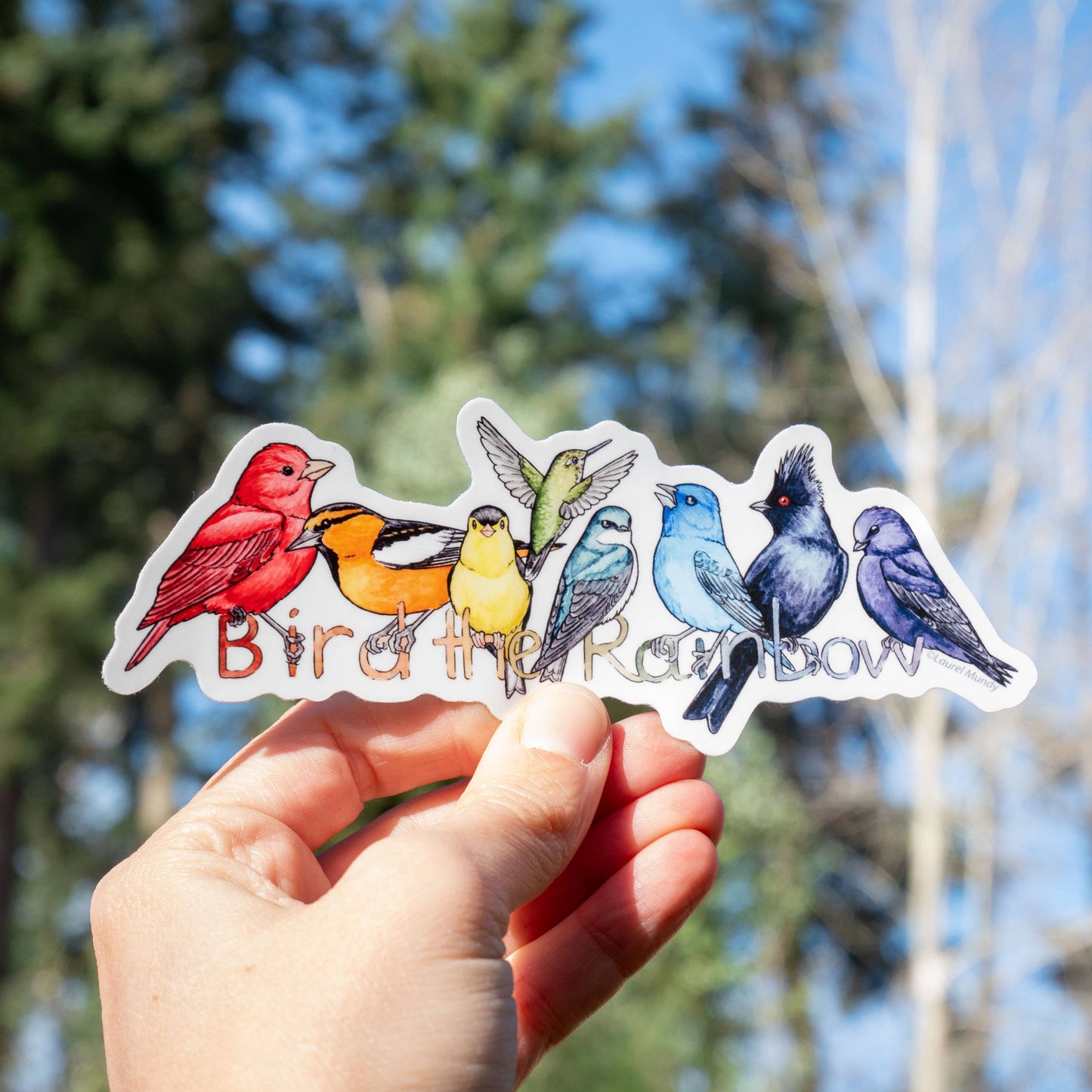 Bird the Rainbow Large Vinyl Sticker