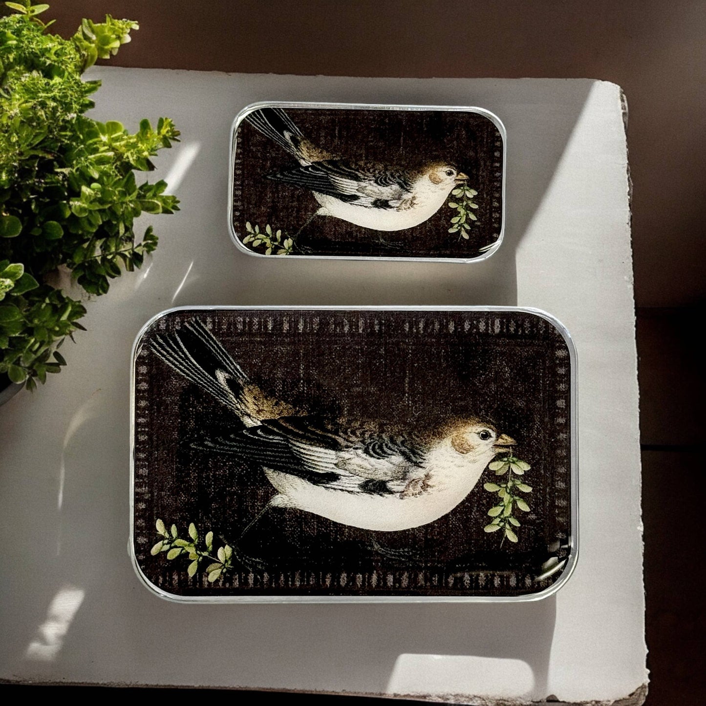 Birdsong Notions Tin: Small