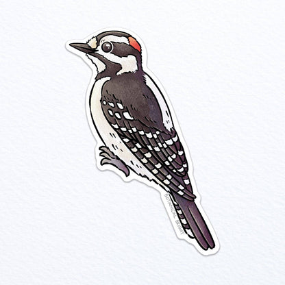 Woodpecker Vinyl Sticker Decal