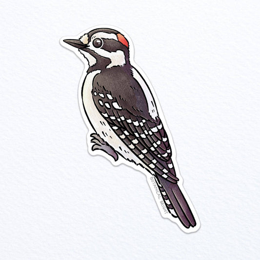 Woodpecker Vinyl Sticker Decal