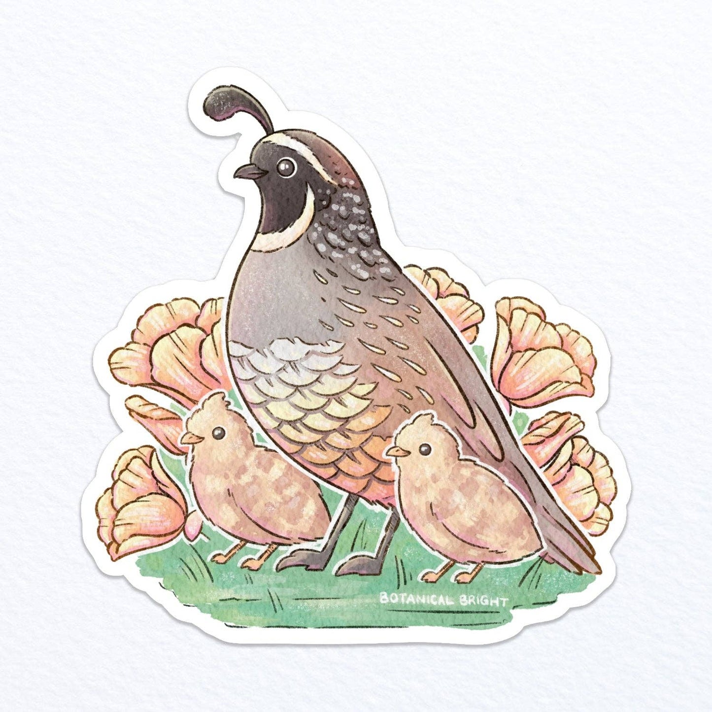 Quail and Chicks Vinyl Sticker Decal