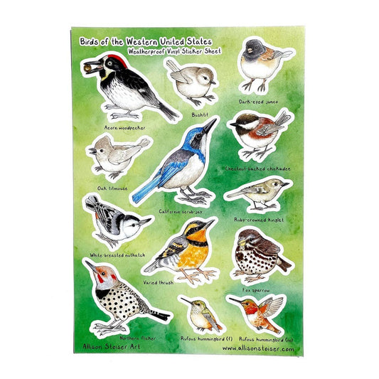 Birds of the Western U.S. Weatherproof Vinyl Sticker Sheet (A5)