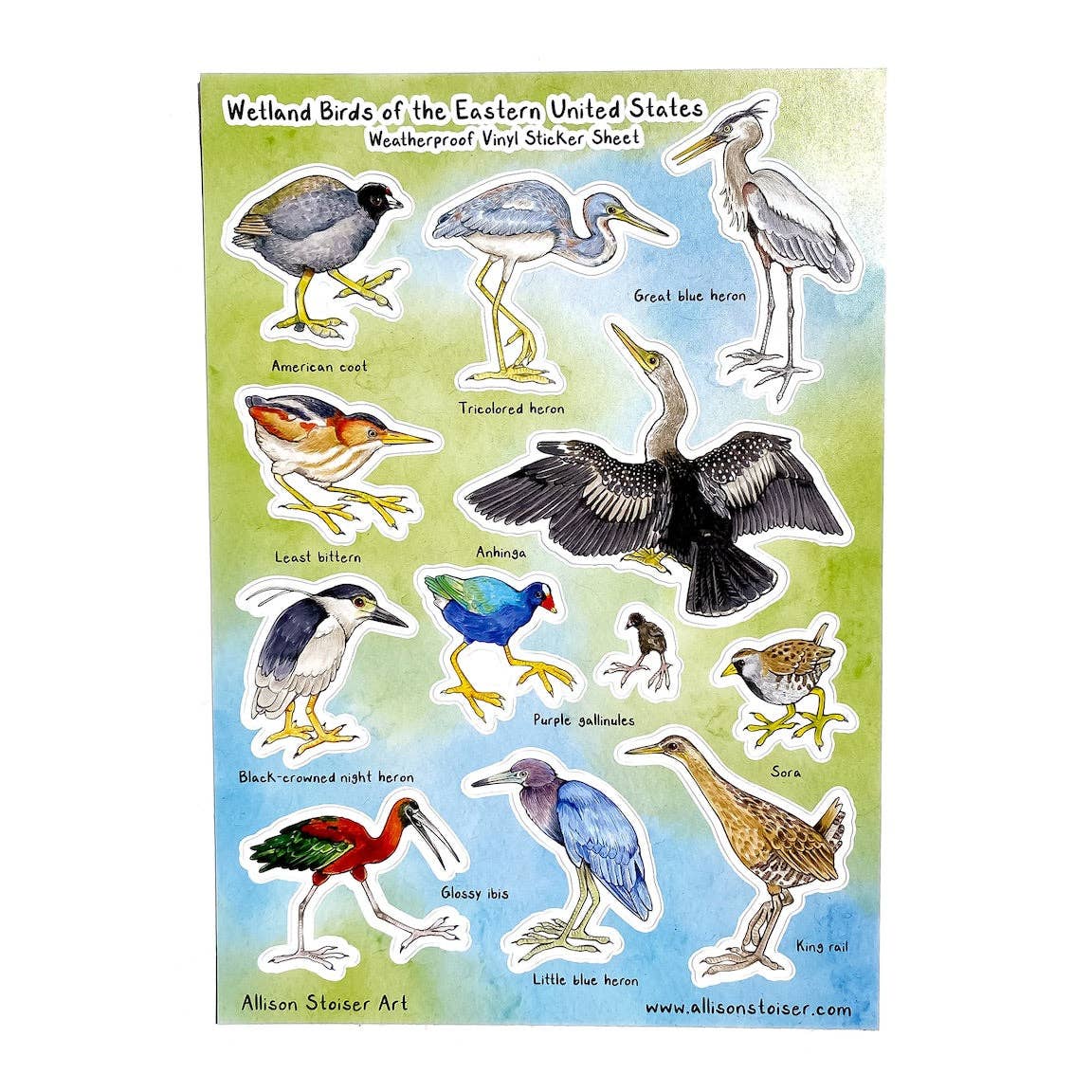 Wetland Birds of the Eastern U.S. Weatherproof Vinyl Sticker Sheet (A5)