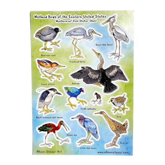 Wetland Birds of the Eastern U.S. Weatherproof Vinyl Sticker Sheet (A5)