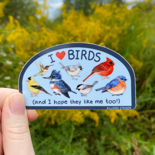 I ❤️ Birds Weatherproof Vinyl Sticker