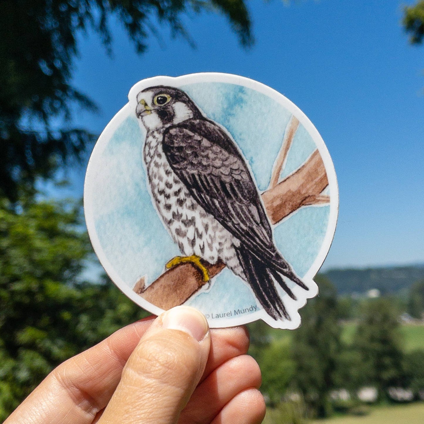 Peregrine Falcon Vinyl Sticker