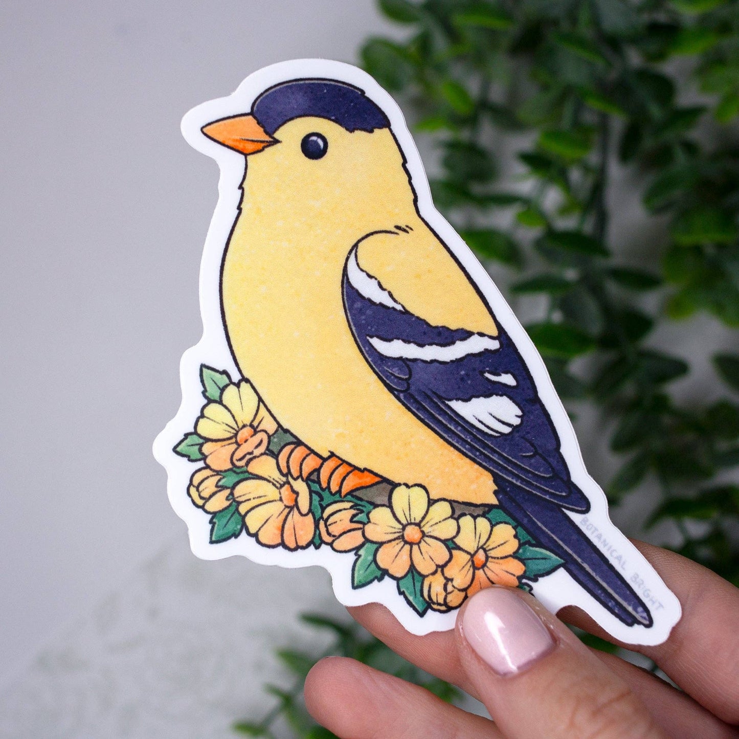 Goldfinch Bird Waterproof Vinyl Sticker