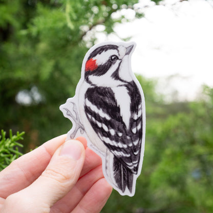 Downy Woodpecker Vinyl Sticker