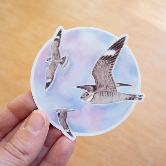 Nighthawks in Flight Vinyl Sticker