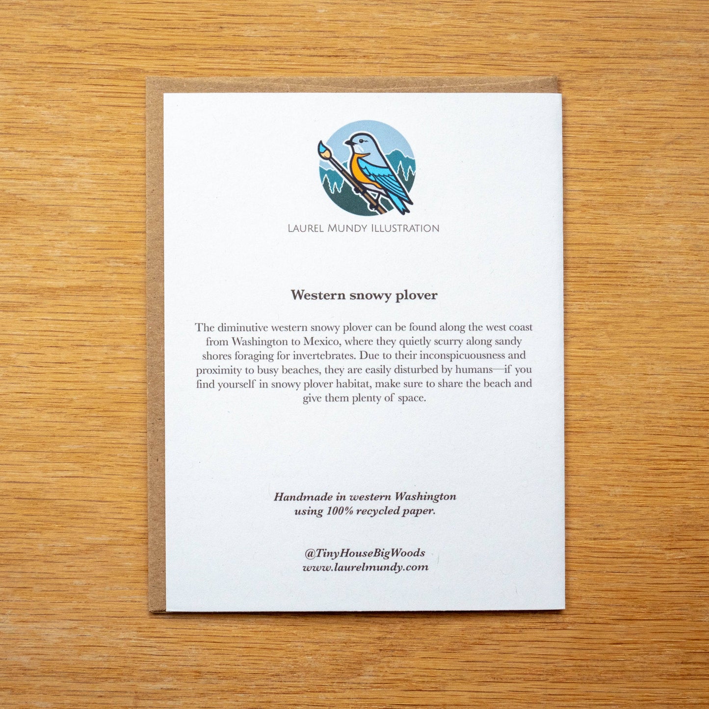 Western Snowy Plover Greeting Card