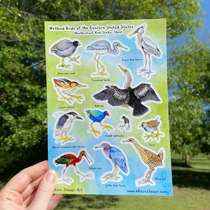 Wetland Birds of the Eastern U.S. Weatherproof Vinyl Sticker Sheet (A5)