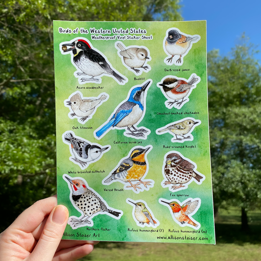 Birds of the Western U.S. Weatherproof Vinyl Sticker Sheet (A5)