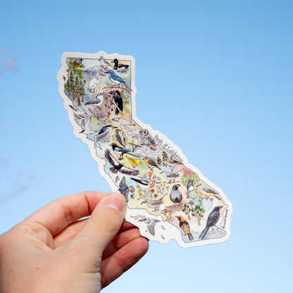 Birds of California Large Vinyl Sticker Decal
