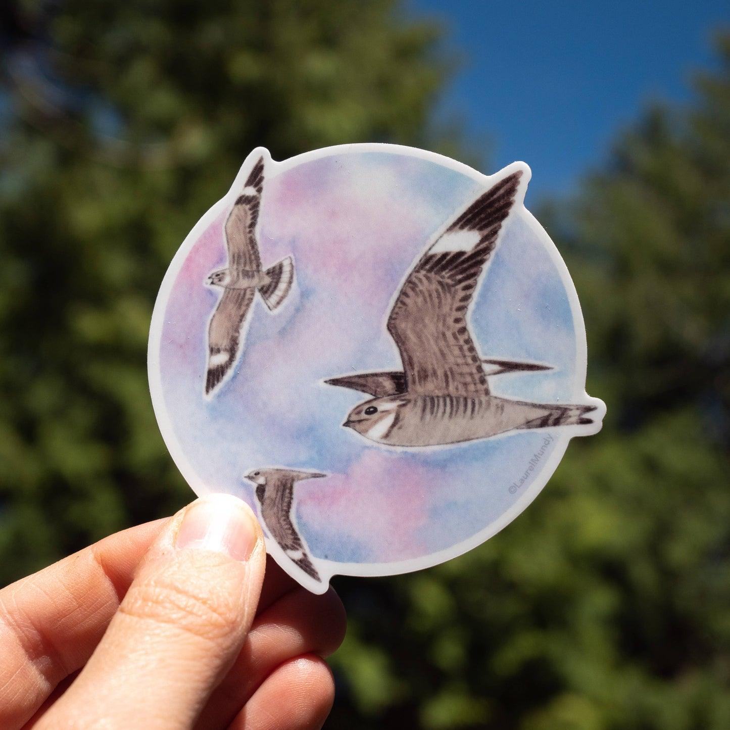 Nighthawks in Flight Vinyl Sticker