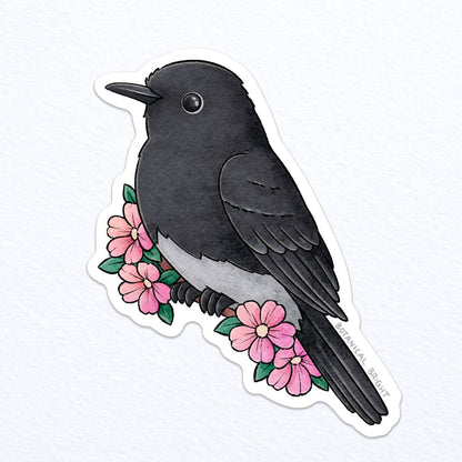 Black Phoebe Vinyl Sticker Decal