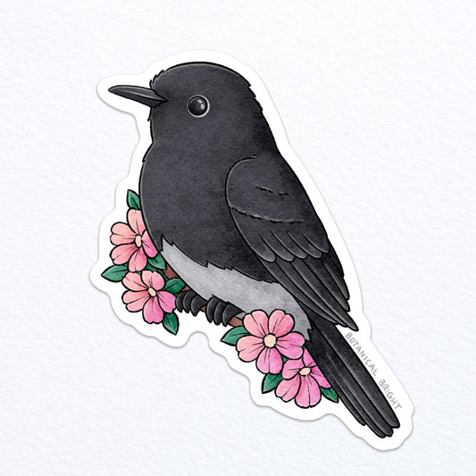 Black Phoebe Vinyl Sticker Decal
