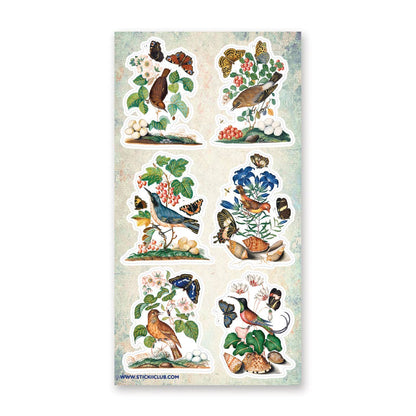 Bird & Butterfly Watching Sticker Sheet