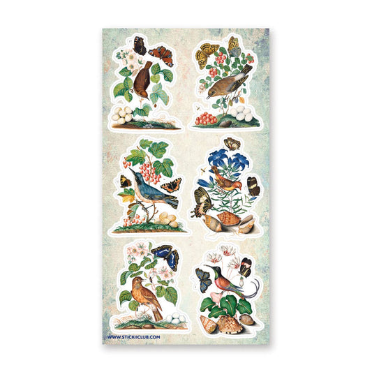 Bird & Butterfly Watching Sticker Sheet