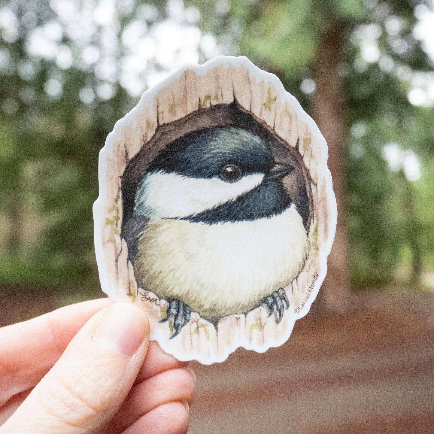 Chickadee Vinyl Sticker