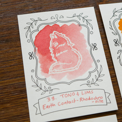 Neighborhood Cats Ink Cards by Thousand Skies