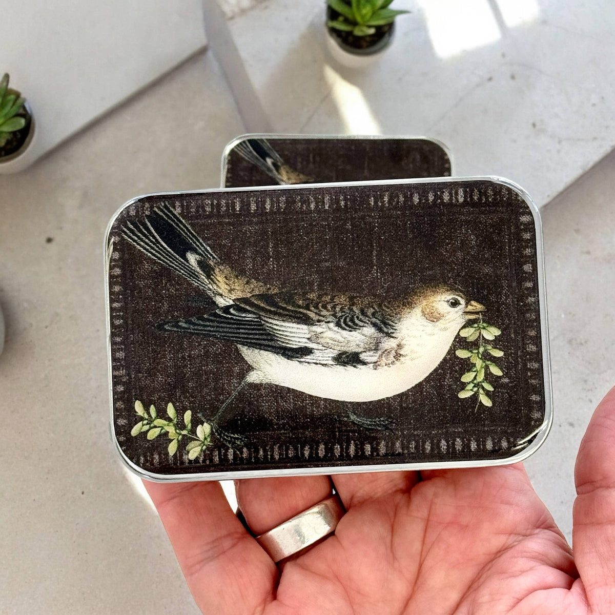 Birdsong Notions Tin: Large