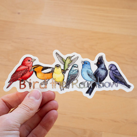 Bird the Rainbow Large Vinyl Sticker