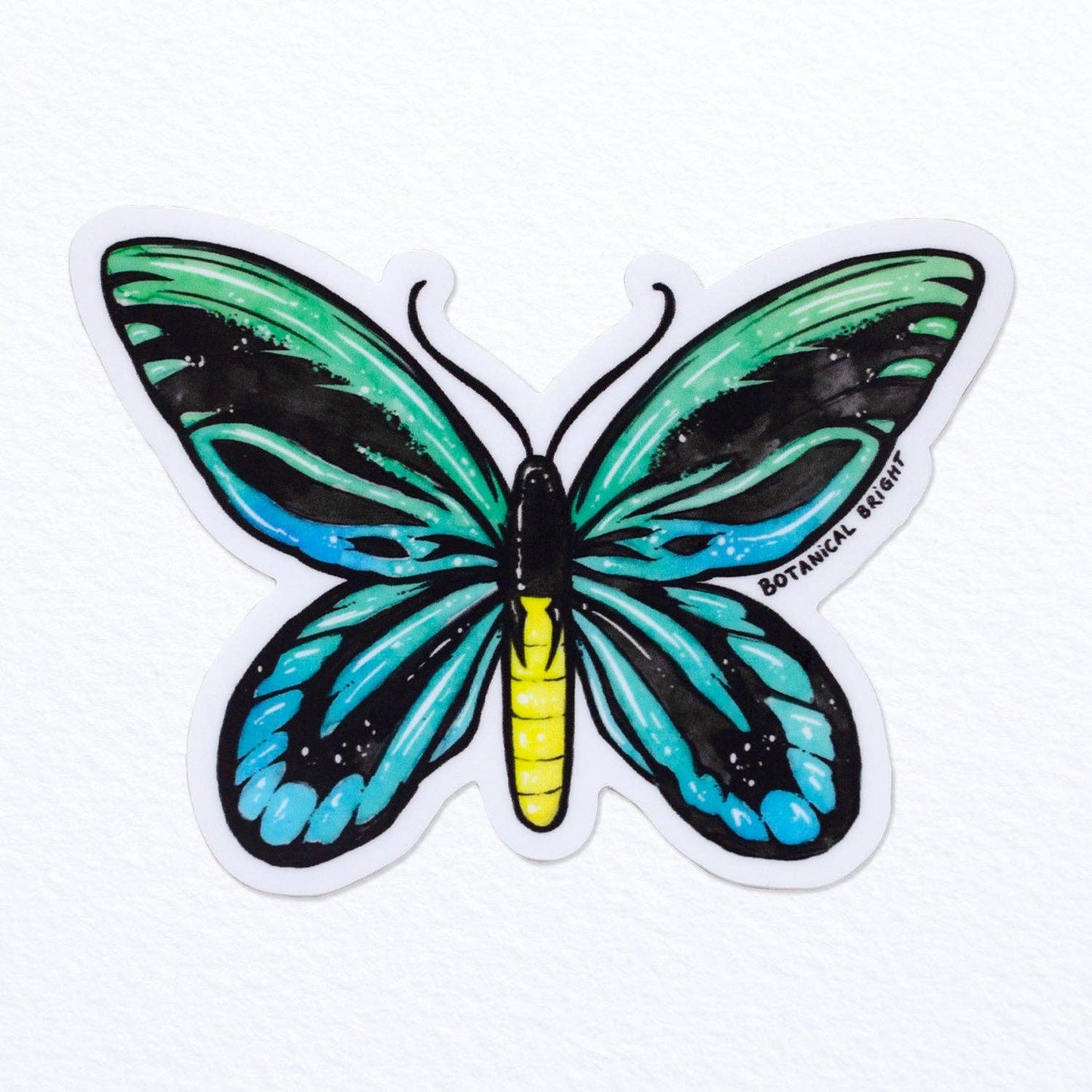 Queen Alexandra's Birdwing Butterfly Vinyl Sticker Decal