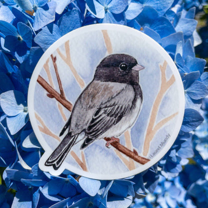 Dark-eyed Junco Vinyl Sticker