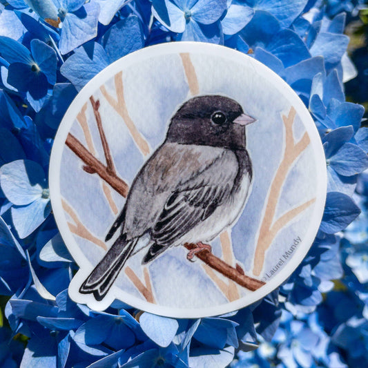 Dark-eyed Junco Vinyl Sticker