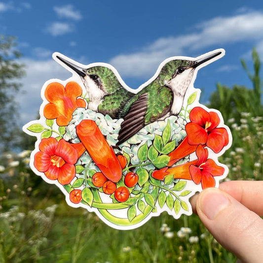 Hummingbirds in Bloom Weatherproof Vinyl Sticker