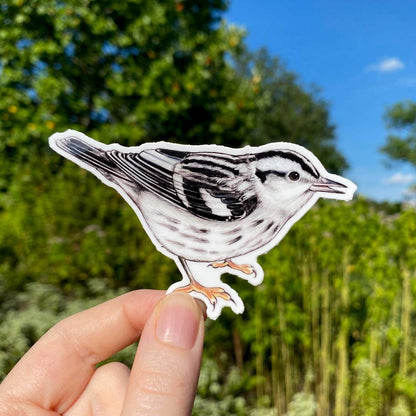 Black and White Warbler Bird Weatherproof Vinyl Sticker